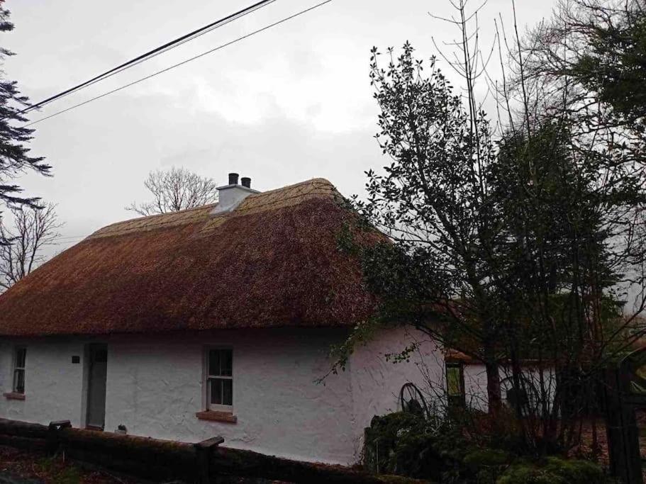Hébergement de vacances Traditional Irish Thatched